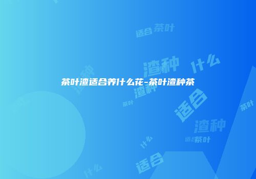 茶叶渣适合养什么花-茶叶渣种茶