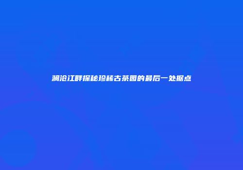 澜沧江畔探秘珍稀古茶园的最后一处据点