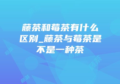 藤茶和莓茶有什么区别_藤茶与莓茶是不是一种茶