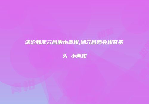 澜沧和润元昌的小青柑,润元昌新会柑普茶头釆小青柑