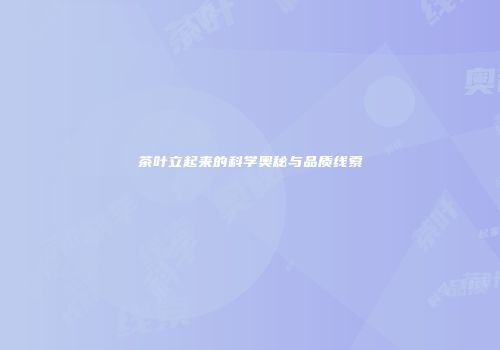 茶叶立起来的科学奥秘与品质线索