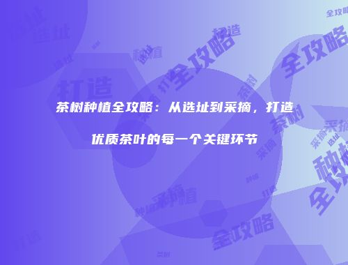 茶树种植全攻略：从选址到采摘，打造优质茶叶的每一个关键环节