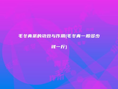 毛冬青茶的功效与作用(毛冬青一般多少钱一斤)