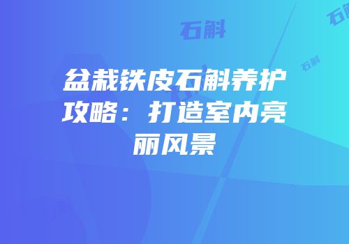 盆栽铁皮石斛养护攻略：打造室内亮丽风景