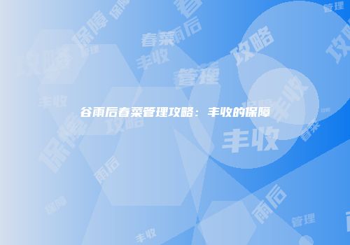 谷雨后春菜管理攻略：丰收的保障