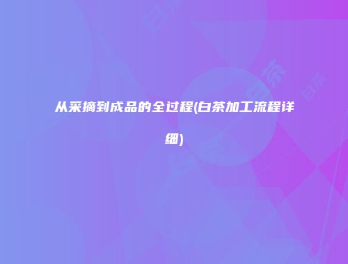 从采摘到成品的全过程(白茶加工流程详细)