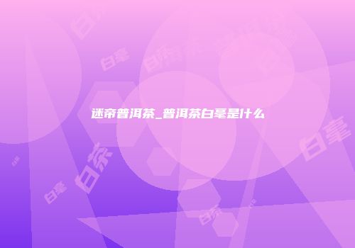 迷帝普洱茶_普洱茶白毫是什么