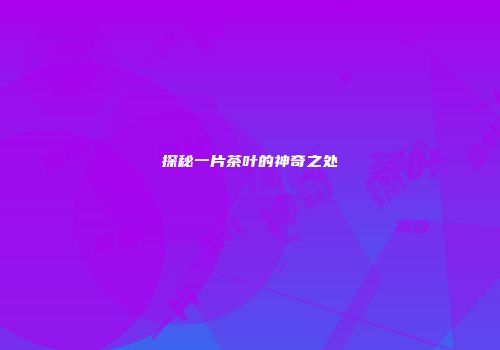 探秘一片茶叶的神奇之处