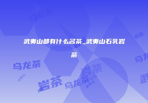 武夷山都有什么名茶_武夷山石乳岩茶