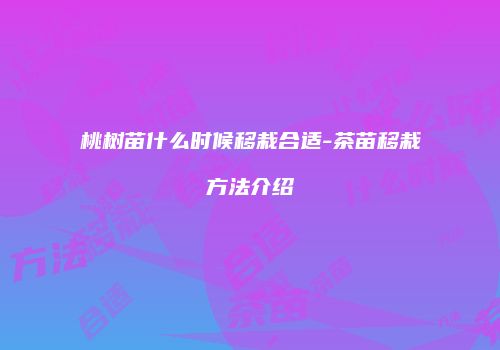 桃树苗什么时候移栽合适-茶苗移栽方法介绍