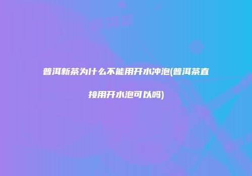 普洱新茶为什么不能用开水冲泡(普洱茶直接用开水泡可以吗)