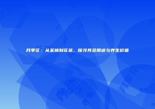 月季花：从采摘到花茶，探寻其多用途与养生价值