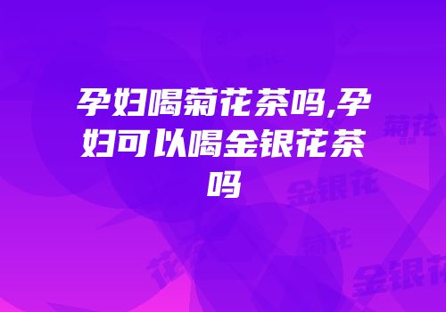 孕妇喝菊花茶吗,孕妇可以喝金银花茶吗