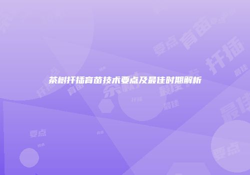 茶树扦插育苗技术要点及最佳时期解析