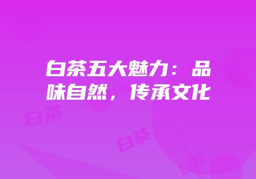 白茶五大魅力：品味自然，传承文化
