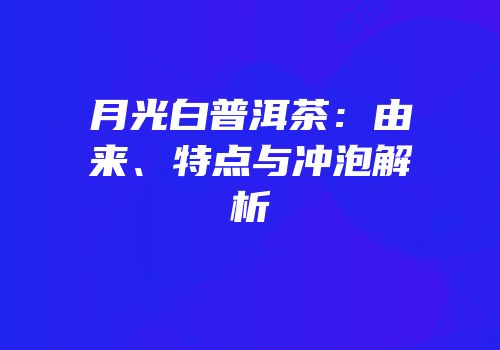 月光白普洱茶：由来、特点与冲泡解析