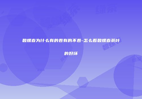 碧螺春为什么有的卷有的不卷-怎么看碧螺春茶叶的好坏