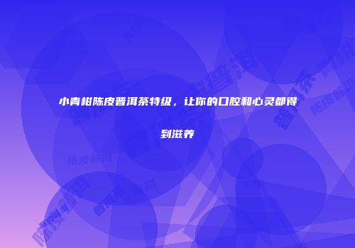 小青柑陈皮普洱茶特级，让你的口腔和心灵都得到滋养