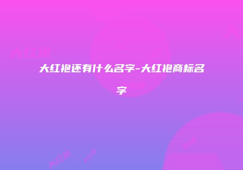 大红袍还有什么名字-大红袍商标名字