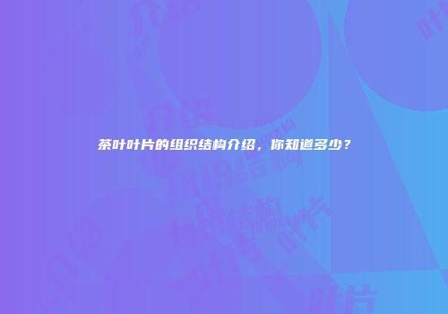 茶叶叶片的组织结构介绍，你知道多少？
