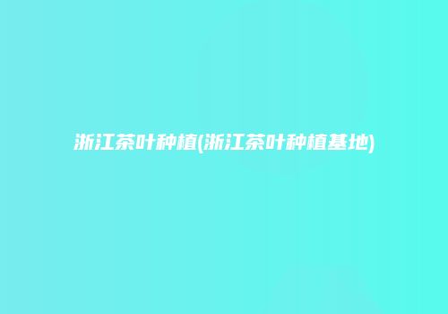 浙江茶叶种植(浙江茶叶种植基地)