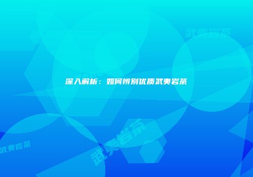 深入解析：如何辨别优质武夷岩茶
