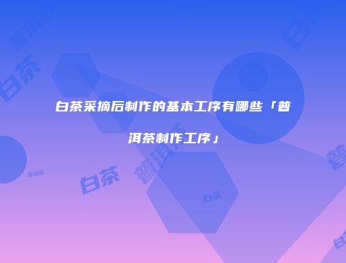 白茶采摘后制作的基本工序有哪些「普洱茶制作工序」