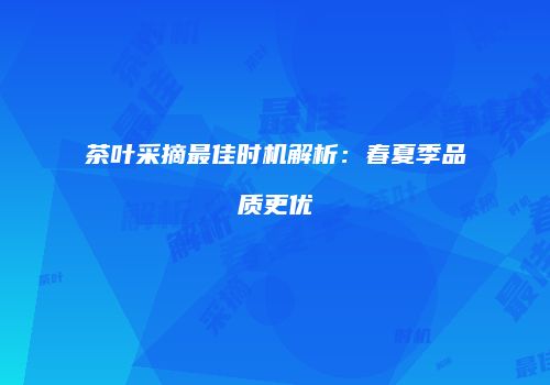 茶叶采摘最佳时机解析：春夏季品质更优