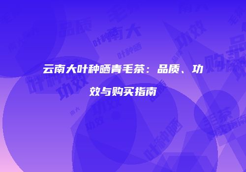 云南大叶种晒青毛茶：品质、功效与购买指南