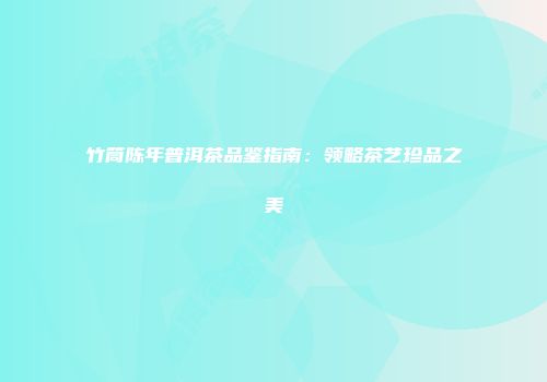 竹筒陈年普洱茶品鉴指南：领略茶艺珍品之美
