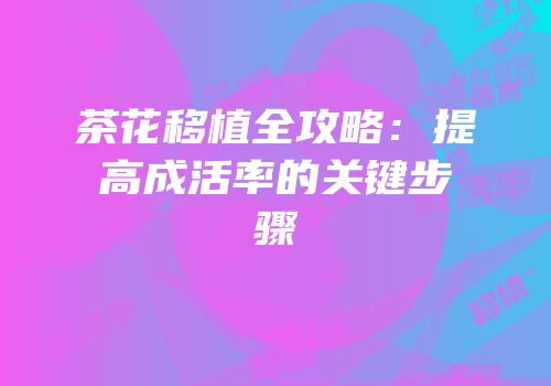 茶花移植全攻略：提高成活率的关键步骤