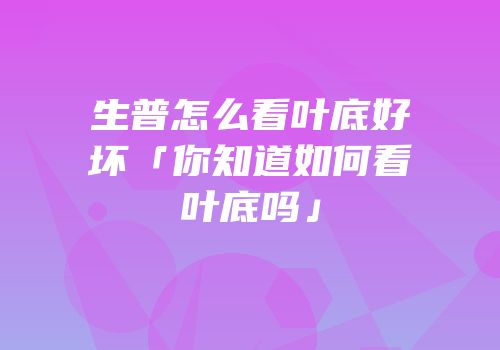生普怎么看叶底好坏「你知道如何看叶底吗」