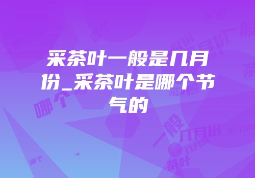 采茶叶一般是几月份_采茶叶是哪个节气的
