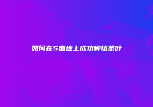 如何在5亩地上成功种植茶叶