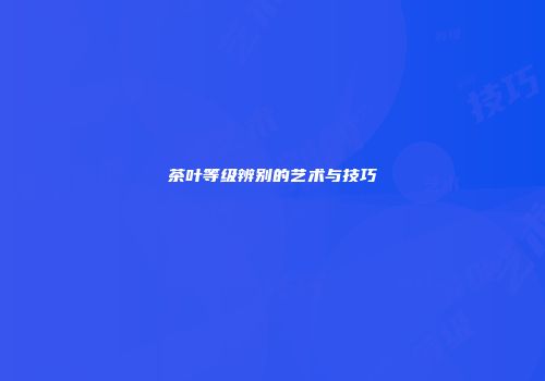 茶叶等级辨别的艺术与技巧