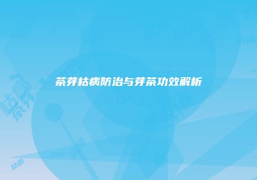 茶芽枯病防治与芽茶功效解析