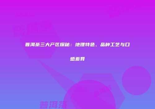 普洱茶三大产区探秘：地理特色、品种工艺与口感差异