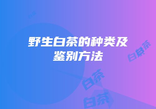 野生白茶的种类及鉴别方法
