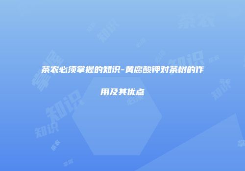 茶农必须掌握的知识-黄腐酸钾对茶树的作用及其优点
