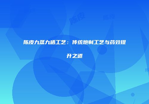 陈皮九蒸九晒工艺：传统炮制工艺与药效提升之道