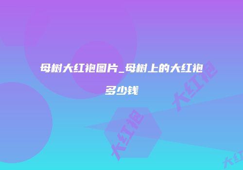母树大红袍图片_母树上的大红袍多少钱