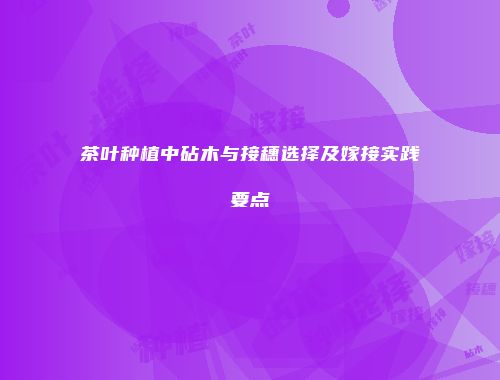 茶叶种植中砧木与接穗选择及嫁接实践要点