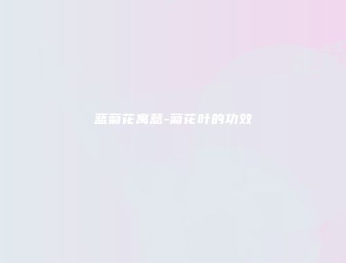 蓝菊花寓意-菊花叶的功效