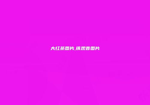 大红茶图片,铁观音图片