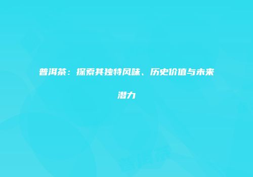 普洱茶：探索其独特风味、历史价值与未来潜力