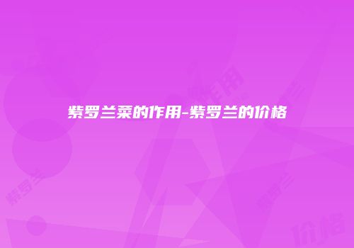 紫罗兰菜的作用-紫罗兰的价格