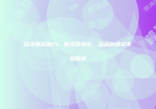 探寻黑茶魅力：普洱茶领衔，多品种满足不同需求