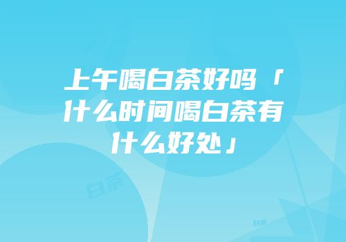 上午喝白茶好吗「什么时间喝白茶有什么好处」