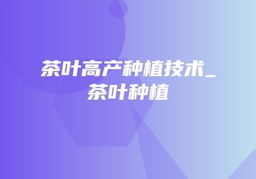 茶叶高产种植技术_茶叶种植