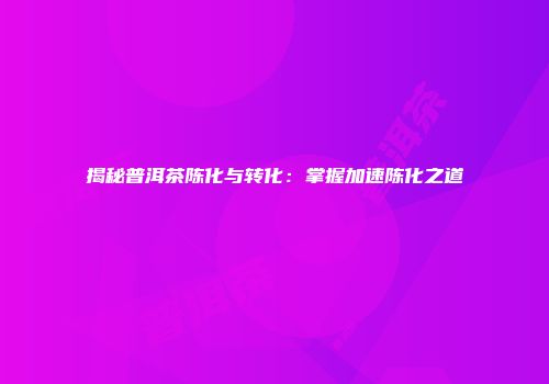 揭秘普洱茶陈化与转化：掌握加速陈化之道